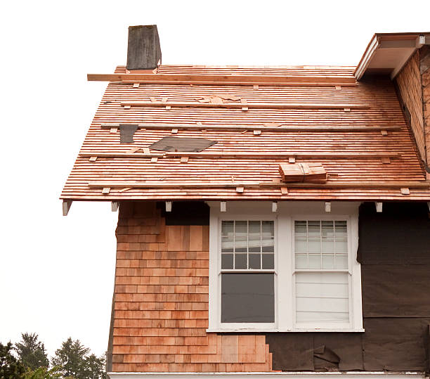 Best Storm Damage Siding Repair  in Olton, TX